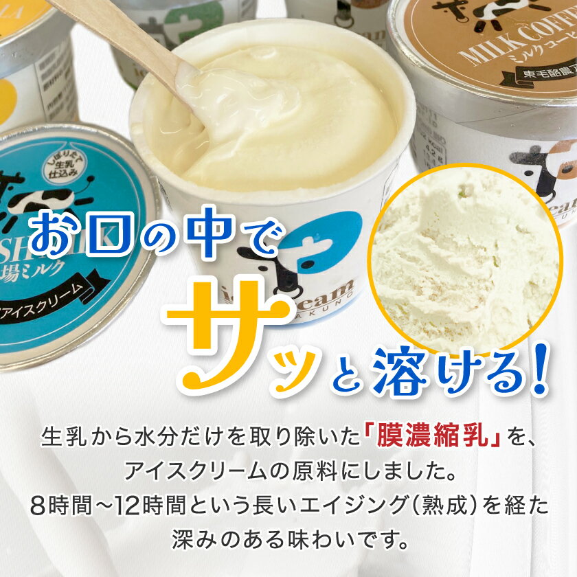 【ふるさと納税】群馬県太田市　生乳仕立てアイスクリーム 12個セット_ アイスクリーム スイーツ デザート 美味しい 冷凍 人気 おすすめ 送料無料 ギフト 贈答 プレゼント 東毛酪農 【配送不可地域：離島】【1223043】