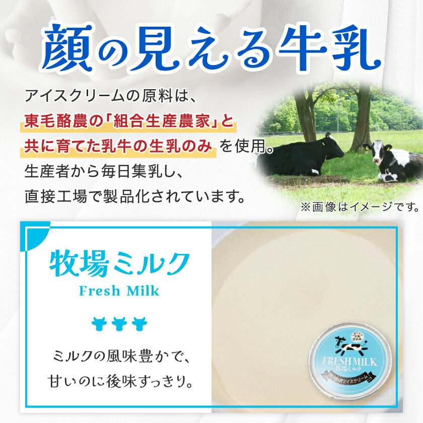 【ふるさと納税】群馬県太田市　生乳仕立てアイスクリーム 12個セット_ アイスクリーム スイーツ デザート 美味しい 冷凍 人気 おすすめ 送料無料 ギフト 贈答 プレゼント 東毛酪農 【配送不可地域：離島】【1223043】