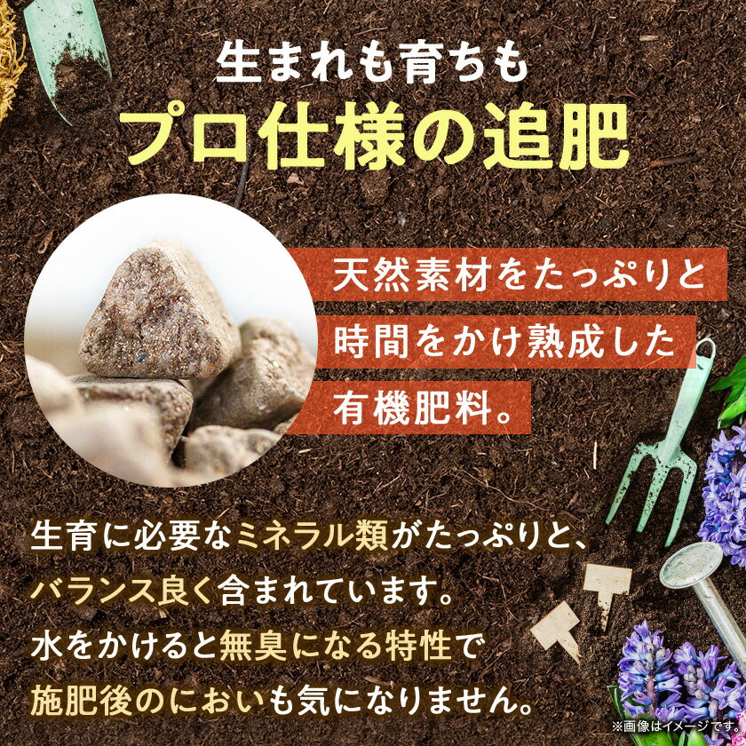【ふるさと納税】植物用 肥料 バイオゴールド オリジナル 5kg×1袋【1437140】