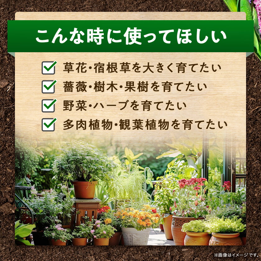 �ڤդ뤵��Ǽ�ǡۿ�ʪ�� ���� �Х���������� ���ꥸ�ʥ� 5kg��1�ޡ�1437140��