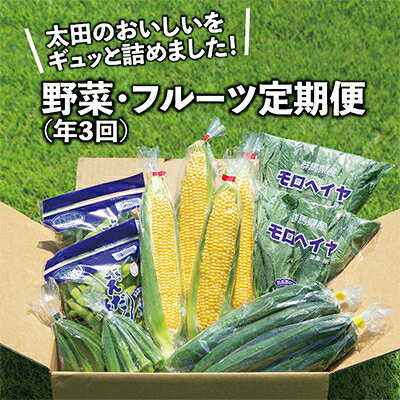 【発送月固定定期便】太田のおいしいをギュッと詰めました!新鮮野菜定期便 全3回【配送不可地域：離島・北海道・沖縄県・中国・四国・九州】【4004670】