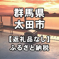 楽天ふるさと納税　【ふるさと納税】群馬県太田市への寄付（返礼品はありません）