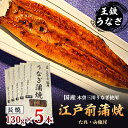 【ふるさと納税】国産江戸前の味・うなぎ長焼5本【配送不可地域:離島】【1208710】