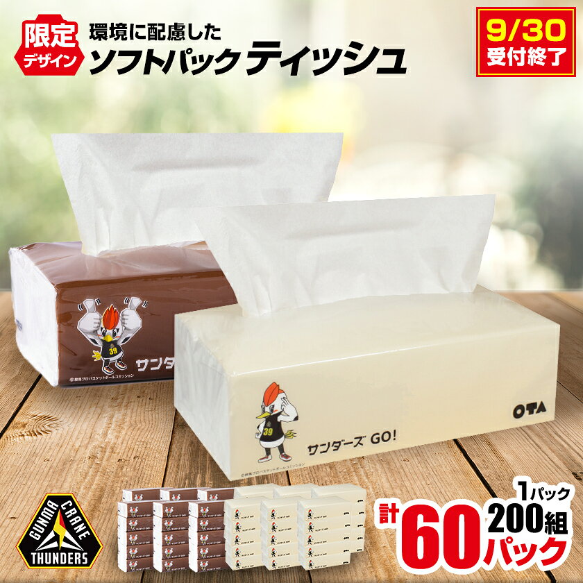 群馬クレインサンダーズ応援ソフトパックティッシュ 400枚(200組)×60パック_ ティッシュ ペーパー まとめ買い 消耗品 日用品 群馬県 太田市 送料無料 [配送不可地域:離島・沖縄県]