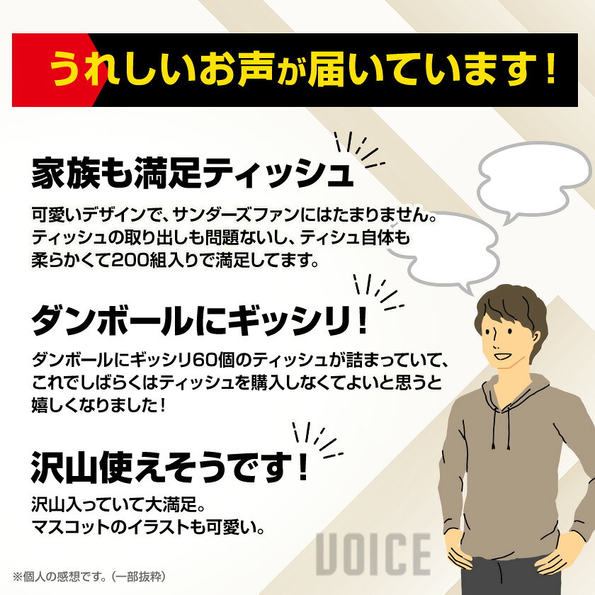 【ふるさと納税】群馬クレインサンダーズ応援ソフトパックティッシュ 400枚(200組)×60パック　9/30受付終了_ ティッシュ ペーパー まとめ買い 消耗品 日用品 群馬県 太田市 送料無料 【配送不可地域：離島・沖縄県】【1422589】 f102059-ota-10000458 群馬県太田市 サンプル画像3