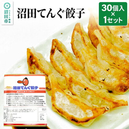 あさひや 沼田てんぐ餃子 30個入×1セット