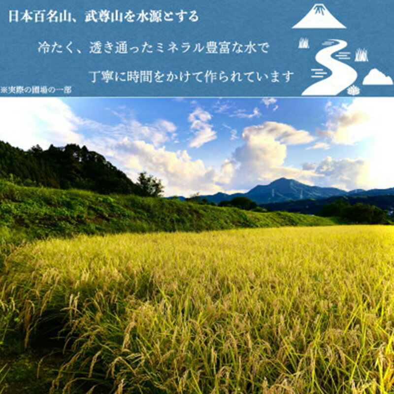 【ふるさと納税】令和7年産 新米 沼田のこしひかり「みずのながれ」お試し六合 900g 群馬県沼田市産 精米 白米 コシヒカリ