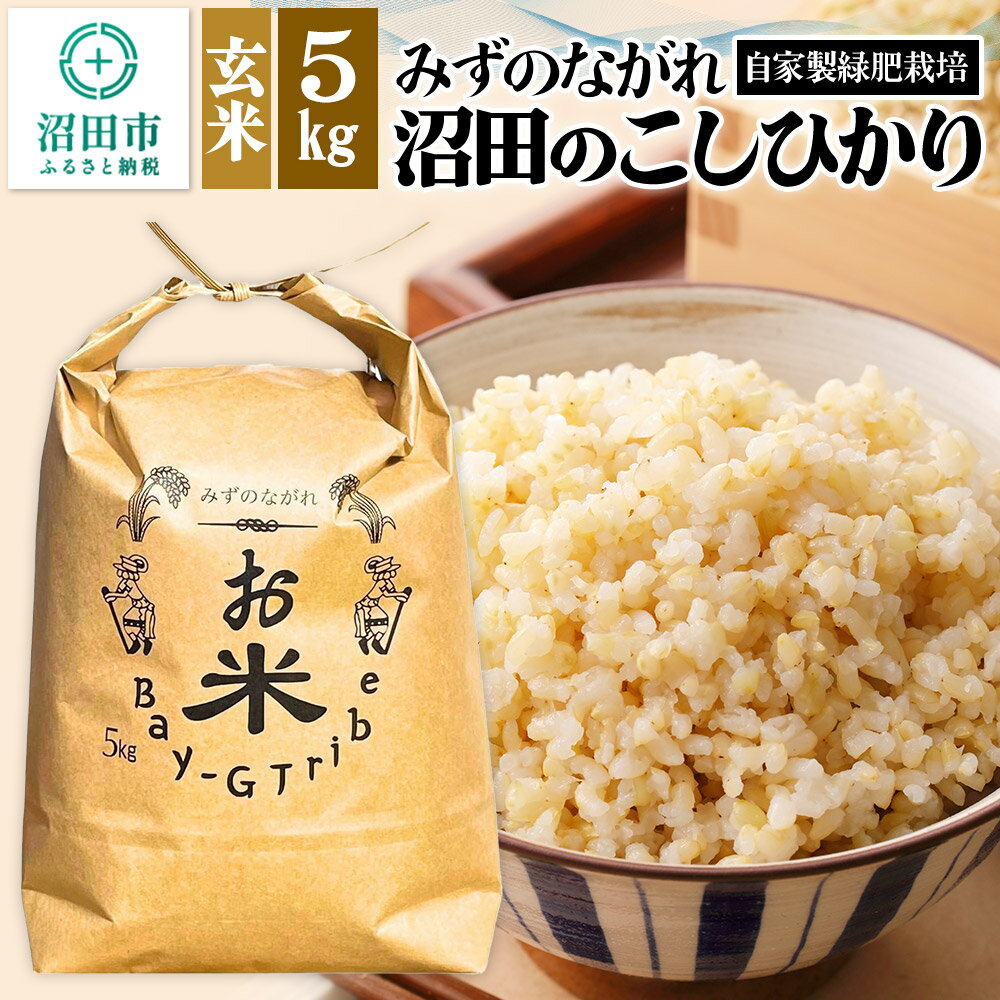 令和7年産 新米予約 沼田のこしひかり「みずのながれ」玄米 5kg