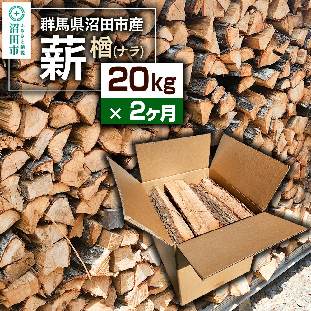 [11月〜2026年5月発送][2ヶ月定期便]群馬県沼田市産の薪(ナラ)20kg×2回 ダイワアシスト