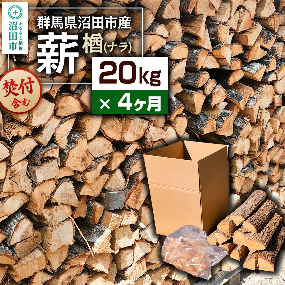 【ふるさと納税】《11月〜2026年5月発送》【4ヶ月定期便】群馬県沼田市産の薪（ナラ）20kg×4回 ダイワアシスト