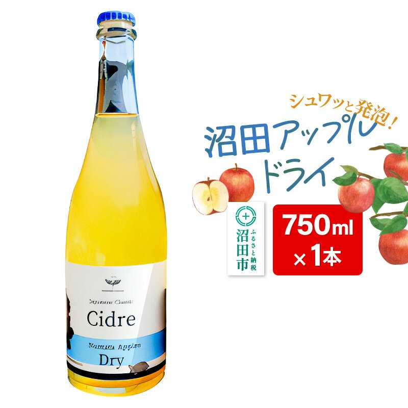 ڤդ뤵Ǽǡ۾ĥåץɥ饤 750ml1 Fukiware Cidrerie