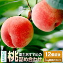 【ふるさと納税】《7月中旬〜7月下旬発送》園主おすすめの桃 3kg箱 詰め合わせ フルーツ王国松井