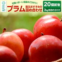 【ふるさと納税】《7月上旬〜7月下旬発送》園主おすすめのプラム 3kg箱 詰め合わせ フルーツ王国松井