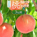 【ふるさと納税】《7月下旬〜8月上旬発送》桃「あかつき」または「いけだ」3kg箱