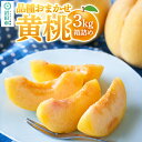 【ふるさと納税】《8月下旬〜9月上旬発送》品種おまかせ黄桃 3kg箱