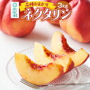 【ふるさと納税】《7月上旬〜8月上旬発送》品種おまかせネクタリン 3kg箱