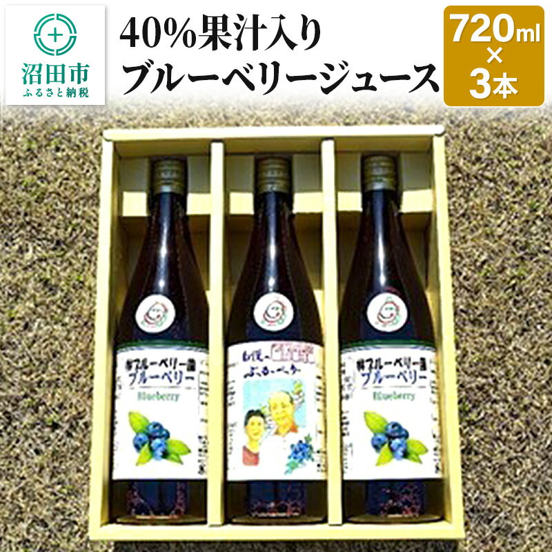 【ふるさと納税】40%果汁入りブルーベリージュース720ml（3本セット）