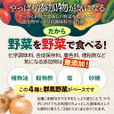 群馬県沼田市の画像3