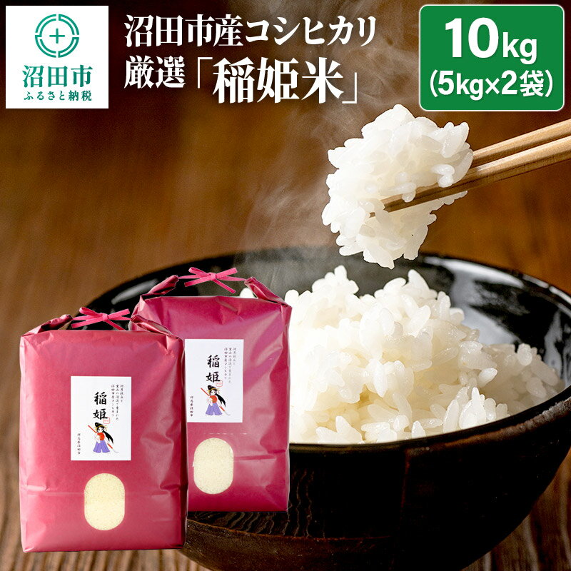 令和5年産 コシヒカリ厳選「稲姫米」10kg(5kg×2袋)精米 白米 こしひかり