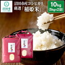 5位! 口コミ数「0件」評価「0」令和5年産 コシヒカリ厳選「稲姫米」10kg（5kg×2袋）精米 白米 こしひかり