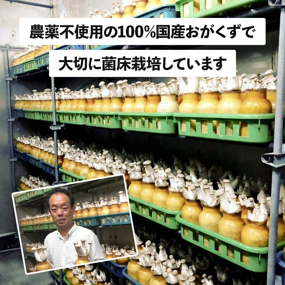 【ふるさと納税】歯ごたえが自慢のエリンギ 大 約800g