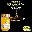 【ふるさと納税】群馬県産アカシアはちみつ 600g