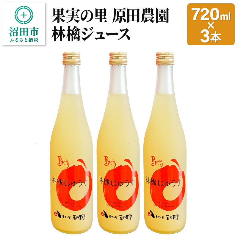 【ふるさと納税】果実の里 原田農園 林檎ジュース 720ml×3本 りんごジュース ストレート100％果汁のサムネイル