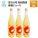 2位! 口コミ数「1件」評価「5」果実の里 原田農園 林檎ジュース 720ml×3本 りんごジュース ストレート100%果汁