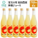 2位! 口コミ数「0件」評価「0」果実の里 原田農園 林檎ジュース 720ml×6本 りんごジュース ストレート100%果汁