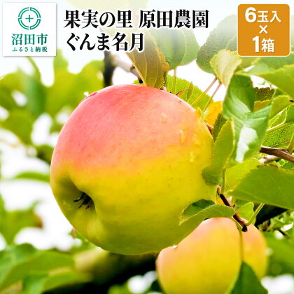 《2024年11月中旬以降発送》果実の里 原田農園 ぐんま名月 1箱 6玉入り りんご 林檎 リンゴ
