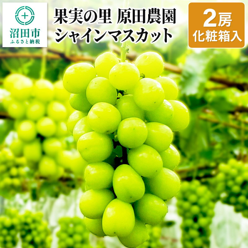 楽天群馬県沼田市【ふるさと納税】先行予約《2024年9月中旬以降発送》果実の里 原田農園 シャインマスカット 2房（約1.4kg～1.6kg）化粧箱入り