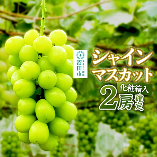 【ふるさと納税】《9月中旬以降発送》先行予約 果実の里 原田農園 シャインマスカット 2房(約1.4kg〜1.6kg)化粧箱入り 【ふるさと納税】《9月中旬以降発送》先行予約 果実の里 原田農園 シャインマスカット 2房(約1.4kg〜1.6kg)化粧箱入り