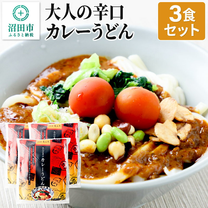 3位! 口コミ数「0件」評価「0」みのや 大人の辛口カレーうどん 3食セット ホットパック冷凍品