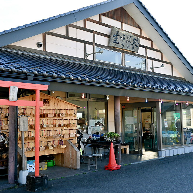 【ふるさと納税】町田屋 生ゆば・創作豆腐セット