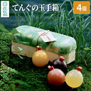 【ふるさと納税】てんぐの玉手箱 4個入り いちご・りんご・ブルーベリー・みかん 各1種 1個