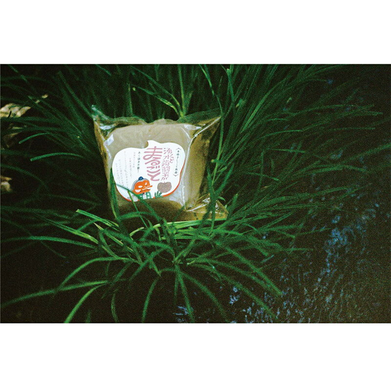 【ふるさと納税】てんぐのお手製「ごちそう蒟蒻セット」4種 田楽みそ付き レシピ付き