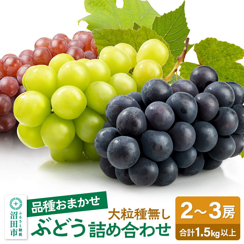 [9月上旬〜下旬発送]大粒種なしぶどう詰め合わせ 1.5kg以上(2〜3房)