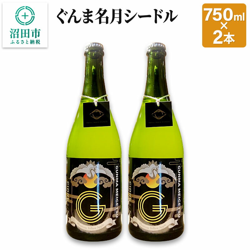 【ふるさと納税】ぐんま名月シードル 750ml×2本