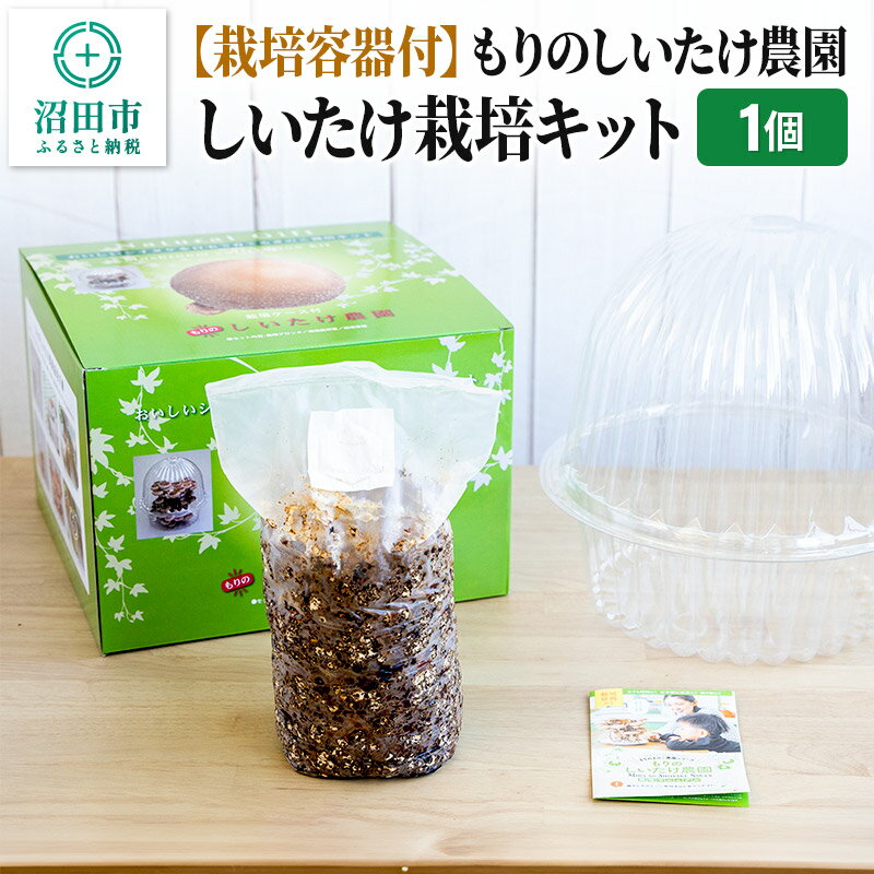 【ふるさと納税】【栽培容器付】もりのしいたけ農園「しいたけ栽培キット」1個のサムネイル