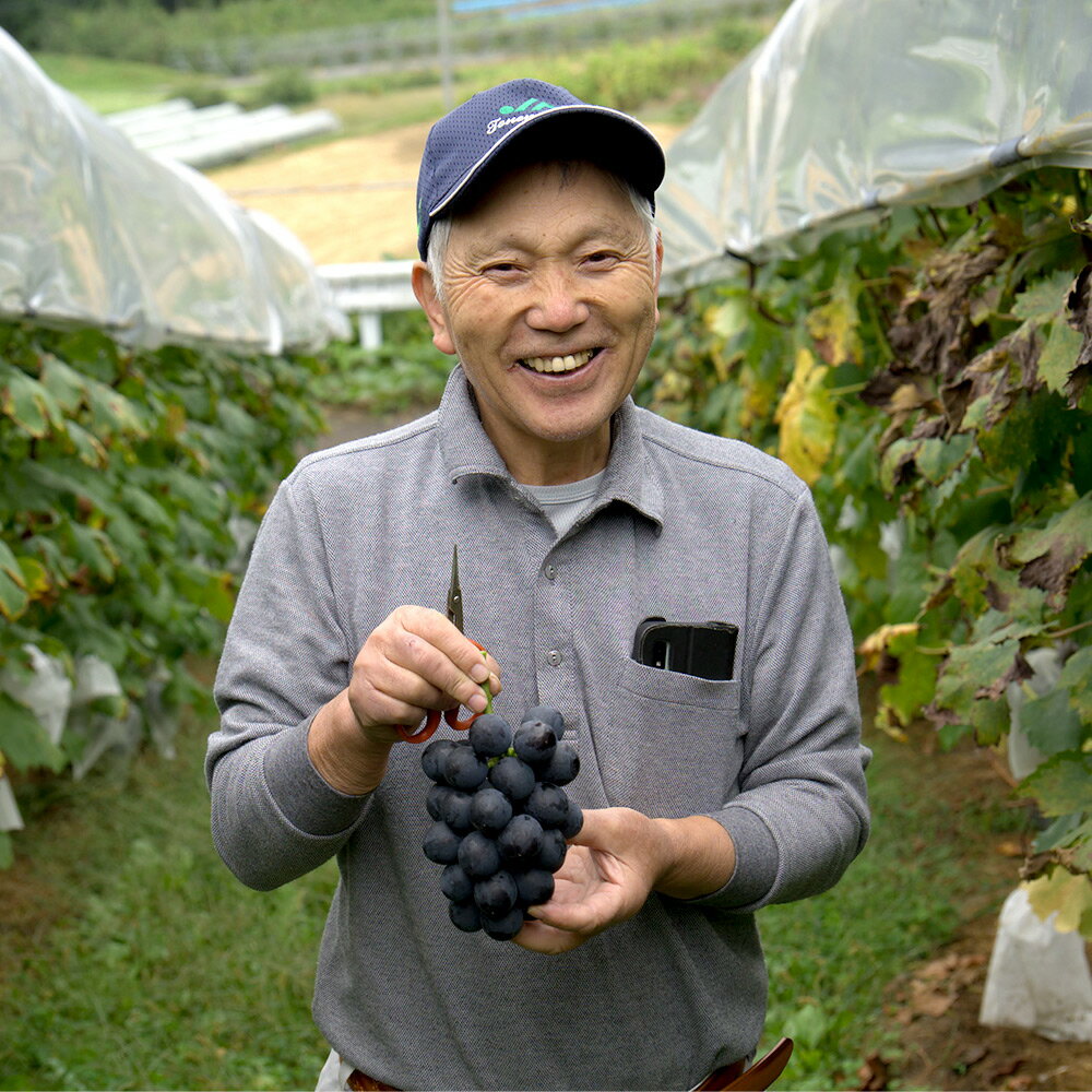 【ふるさと納税】ぬまたブランド農産物 桐箱入り 無添加 燻製ぶどう《藤稔〜ふじみのり〜》1個 宮田農園