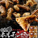 【ふるさと納税】ホルモンセット約2kg（辛口・激辛）群馬県 特産品