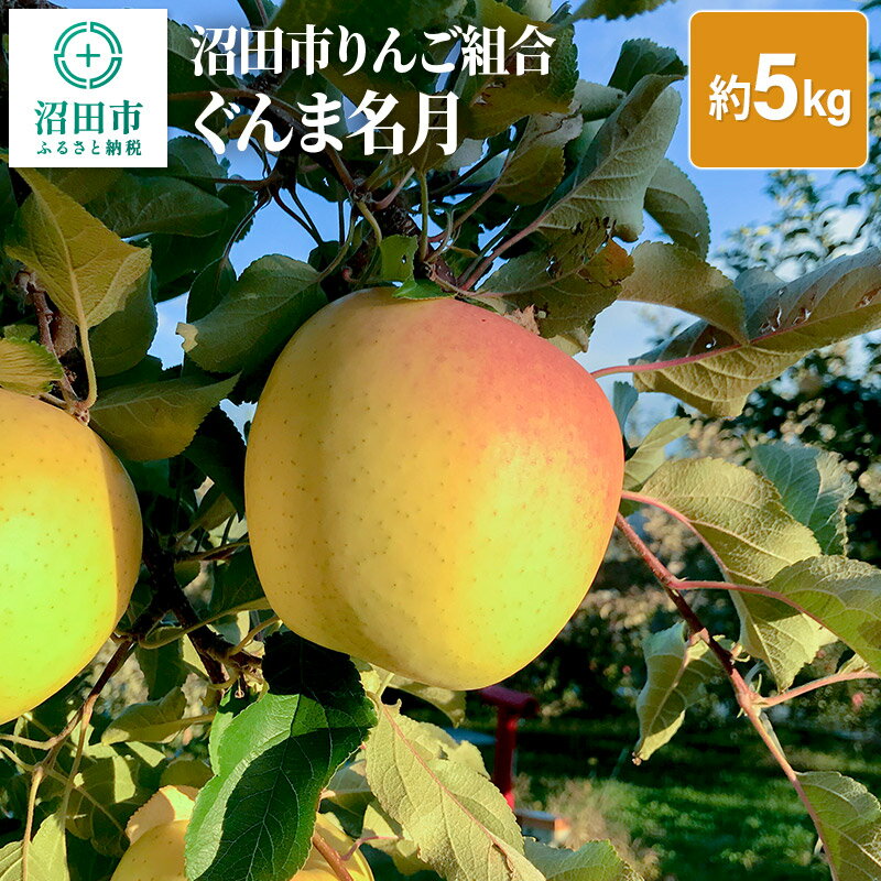【ふるさと納税】沼田市りんご組合 りんご（ぐんま名月）約5kg 群馬県沼田市のサムネイル