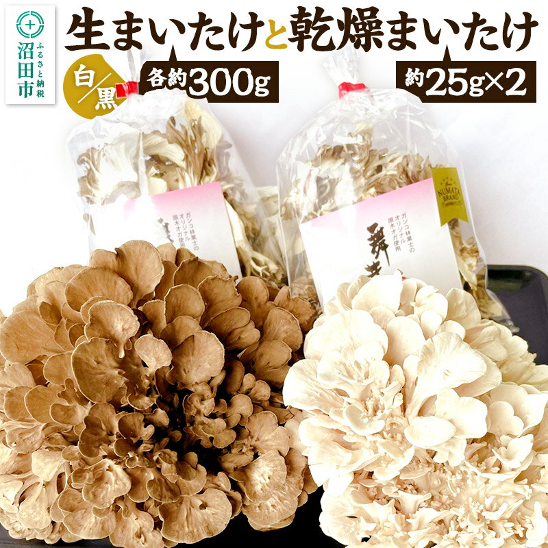 【ふるさと納税】生まいたけ（白・黒）各約300g＋乾燥まいたけ25g×2個セット おいがみ舞茸園