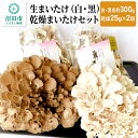 19位! 口コミ数「0件」評価「0」生まいたけ（白・黒）各約300g＋乾燥まいたけ25g×2個 セット