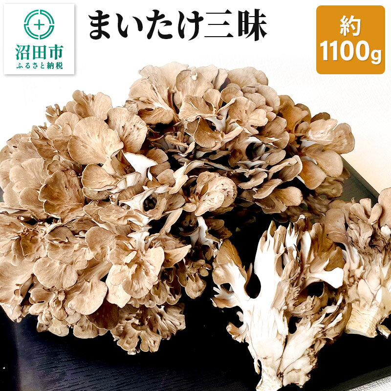 【ふるさと納税】まいたけ三昧 約1100gのサムネイル