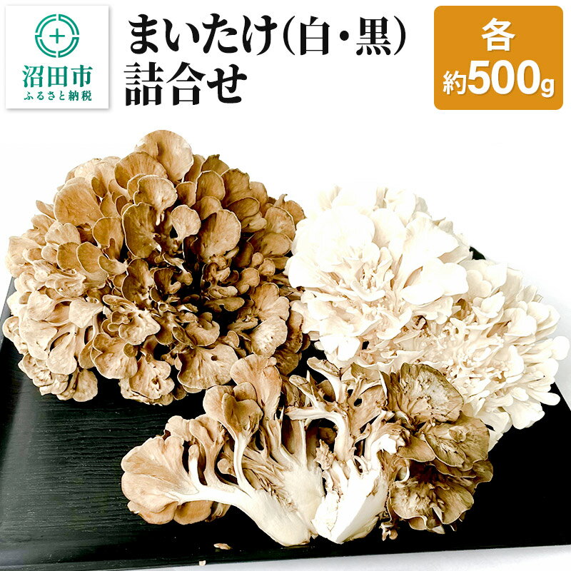 まいたけ(白・黒)詰め合わせ 各約500g