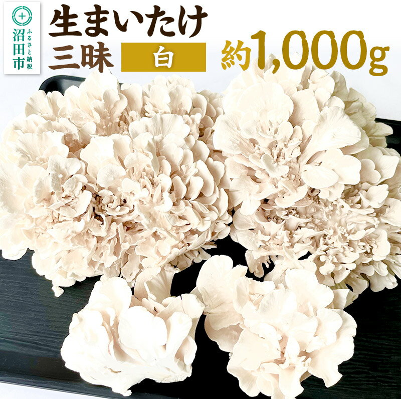 生まいたけ三昧(白)約1000g おいがみ舞茸園