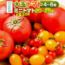 【ふるさと納税】《関東発送限定》沼田市産 大玉トマト「れおん」4〜6個・ミニトマト20〜25個 詰め合わせ