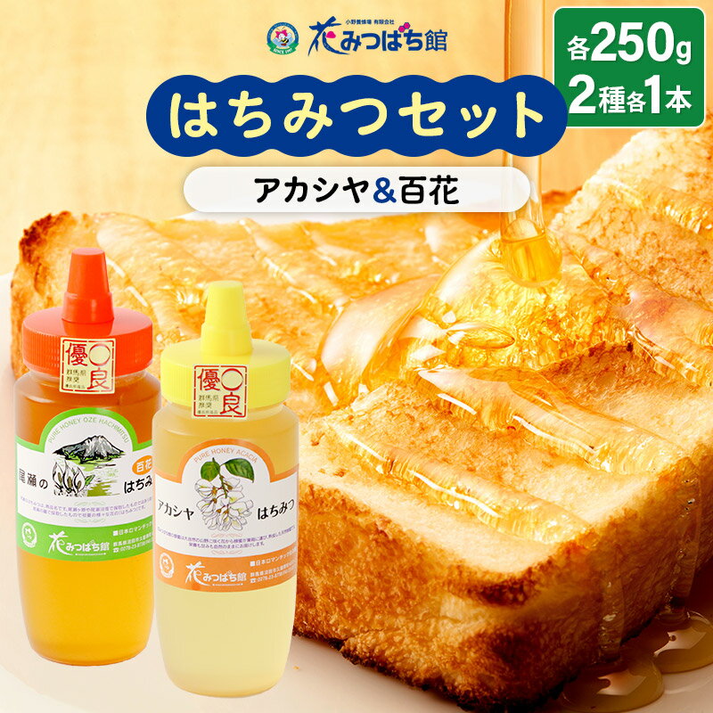 【ふるさと納税】アカシヤ・尾瀬のはちみつ（百花）セット 各250g 花みつばち館のサムネイル