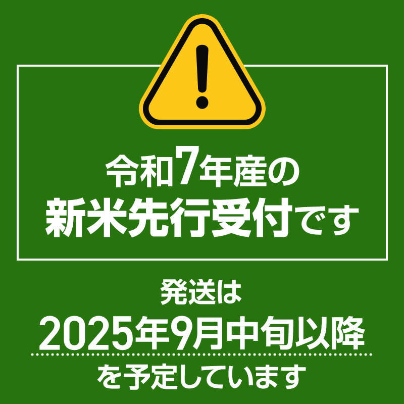 【ふるさと納税】令和7年産 新米予約《高級桐箱入り》沼田のこしひかり「みずのながれ」9kg×1箱 精米 白米 コシヒカリ